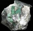 Beryl (Var: Emerald) Crystals in Biotite & Quartz - Bahia, Brazil #44123-1